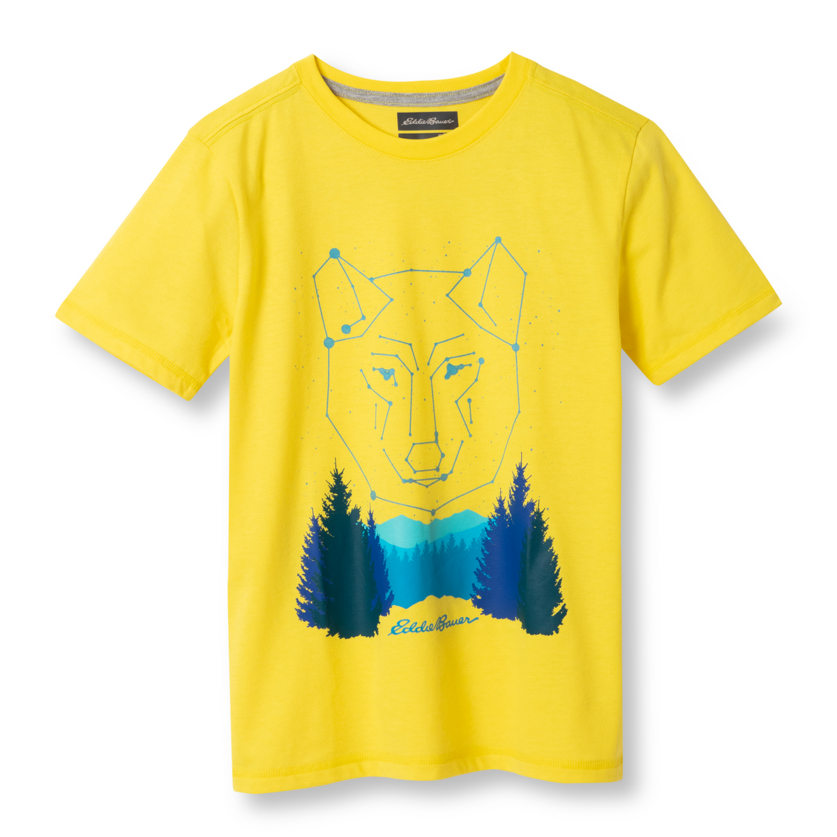 Eddie Bauer Boys Graphic Short-Sleeve T-Shirt alternate view 1