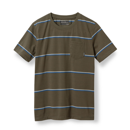Eddie Bauer Boys Territory Stripe T-Shirt alternate view 1