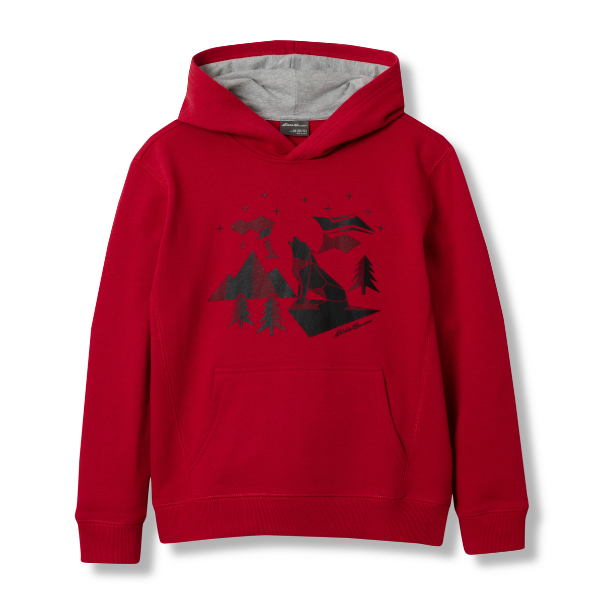 Eddie Bauer Boys Graphic Camp Fleece Hoodie alternate view 2