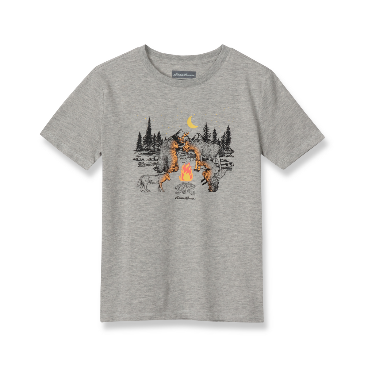 Eddie Bauer Boys Graphic T-Shirt product image