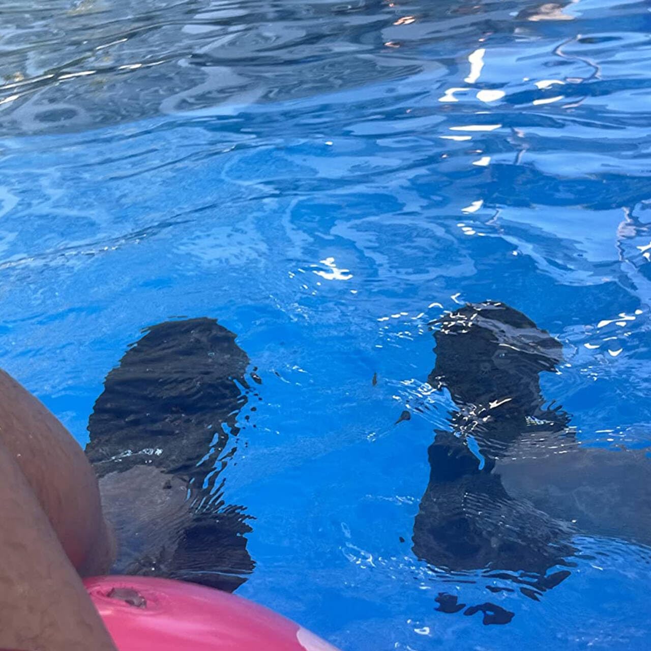 DOUSSPRT Men's Water Shoes Quick Drying Sports Aqua Shoes