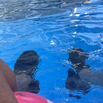 DOUSSPRT Men's Water Shoes Quick Drying Sports Aqua Shoes