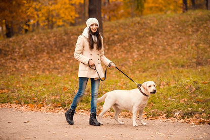 HotHands Toe Warmers - Long Lasting, Odorless, Air Activated - Up to 8 Hours of Heat - 20 Pair