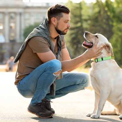 NORTIV 8 Men's Hiking Boots Lightweight Fashion Casual Chukka Ankle Boots Elevation