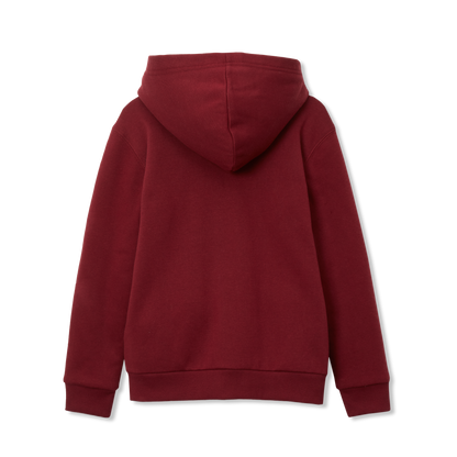 Eddie Bauer Boys Camp Fleece Faux Shearling-Lined Hoodie alternate view 1