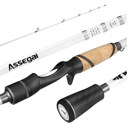KastKing Assegai Technique Bass Fishing Rods by KastKing