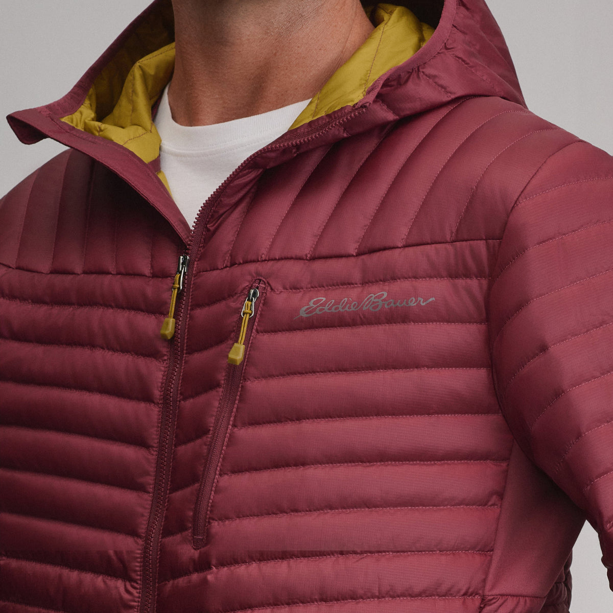 Eddie Bauer Men's MicroTherm® 2.0 Down Hoodie alternate view 4