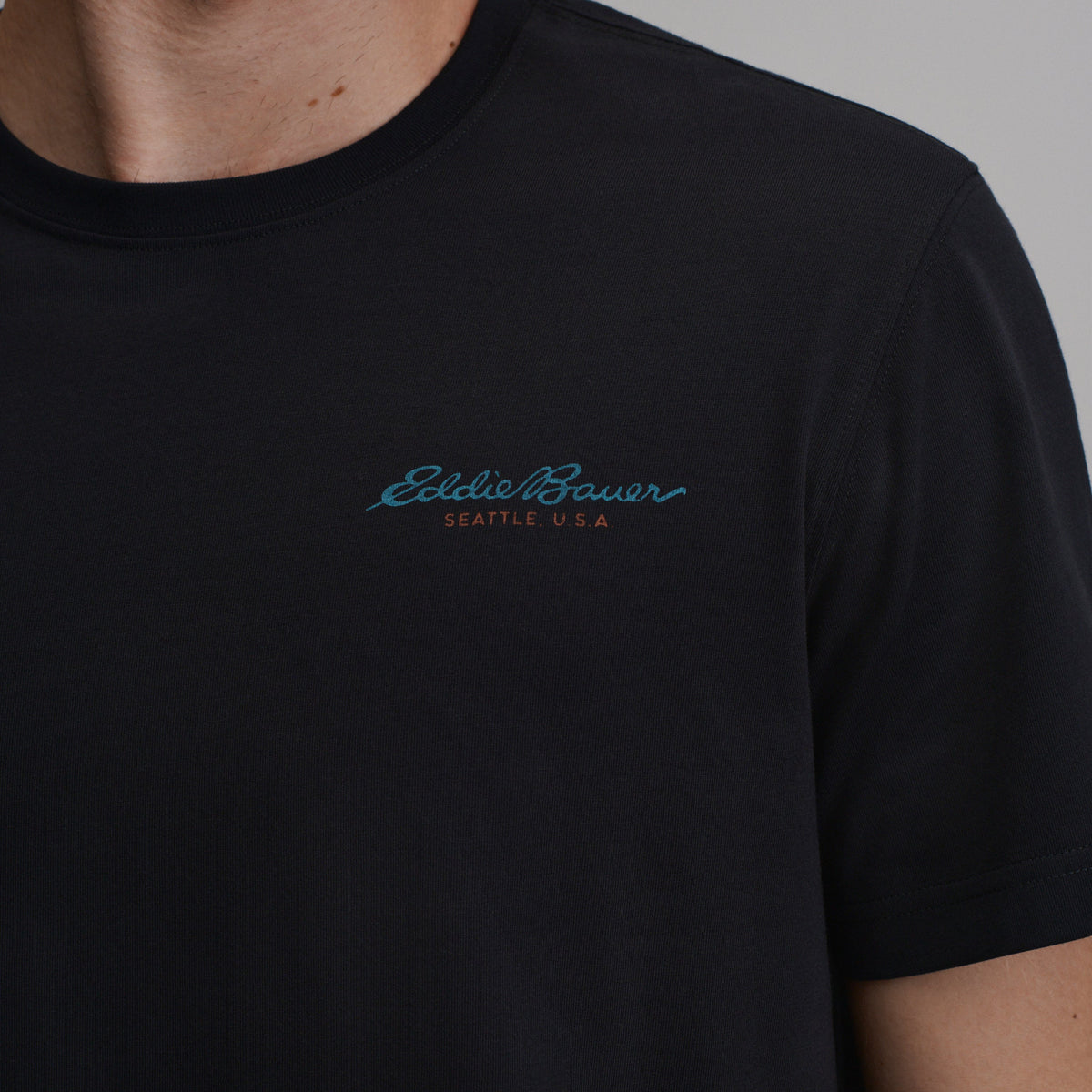 Eddie Bauer Men's EB Bauer Down Logo T-Shirt alternate view 2