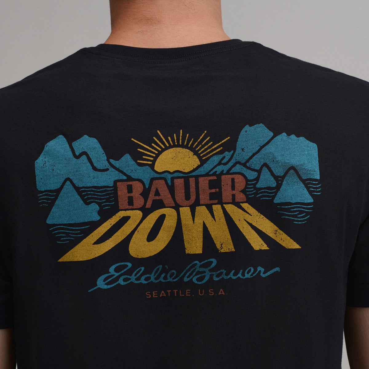 Eddie Bauer Men's EB Bauer Down Logo T-Shirt alternate view 3