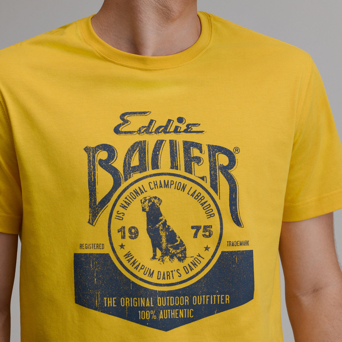 Eddie Bauer Men's EB Champion Lab T-Shirt alternate view 2