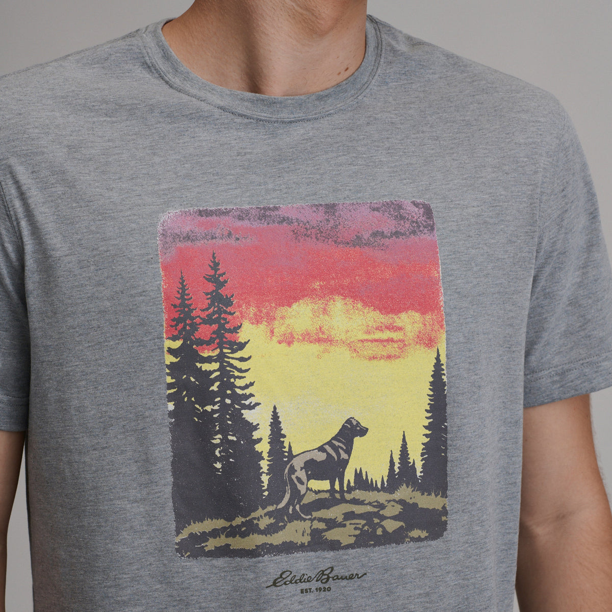 Eddie Bauer Men's EB Dog T-Shirt alternate view 2