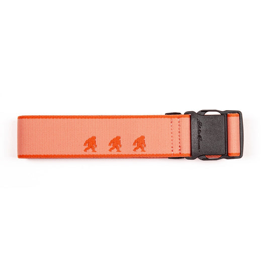 Eddie Bauer Women's Trail Active Stretch Webbing Belt - Sasquatch alternate view 1