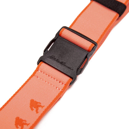 Eddie Bauer Women's Trail Active Stretch Webbing Belt - Sasquatch alternate view 4