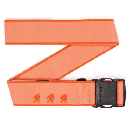 Eddie Bauer Women's Trail Active Stretch Webbing Belt - Sasquatch product image