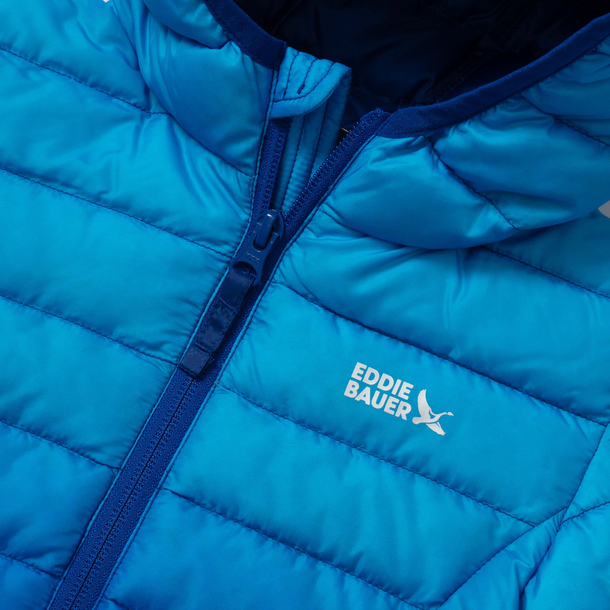 Eddie Bauer Kids Cirruslite Down Hooded Jacket alternate view 2